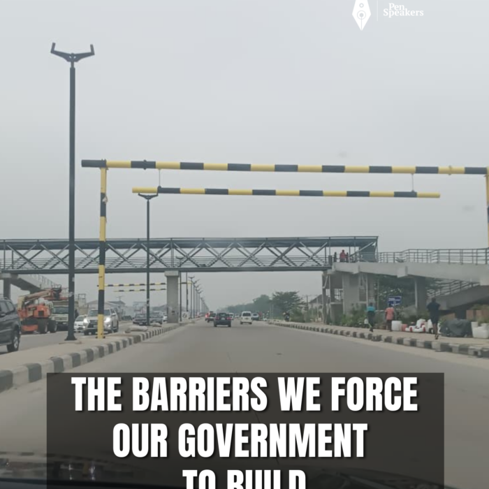 The Barriers We Force Our Government to Build